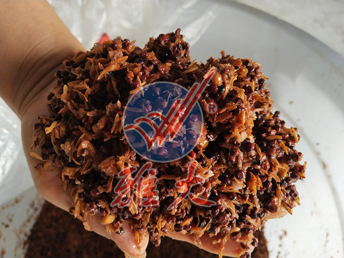 11.25高粱固態(tài)釀酒，蒸餾前含水量一定要適中