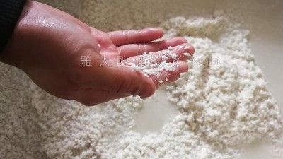 10年釀酒經(jīng)驗的大型釀酒設(shè)備廠家，教您做金銀花糯米酒！