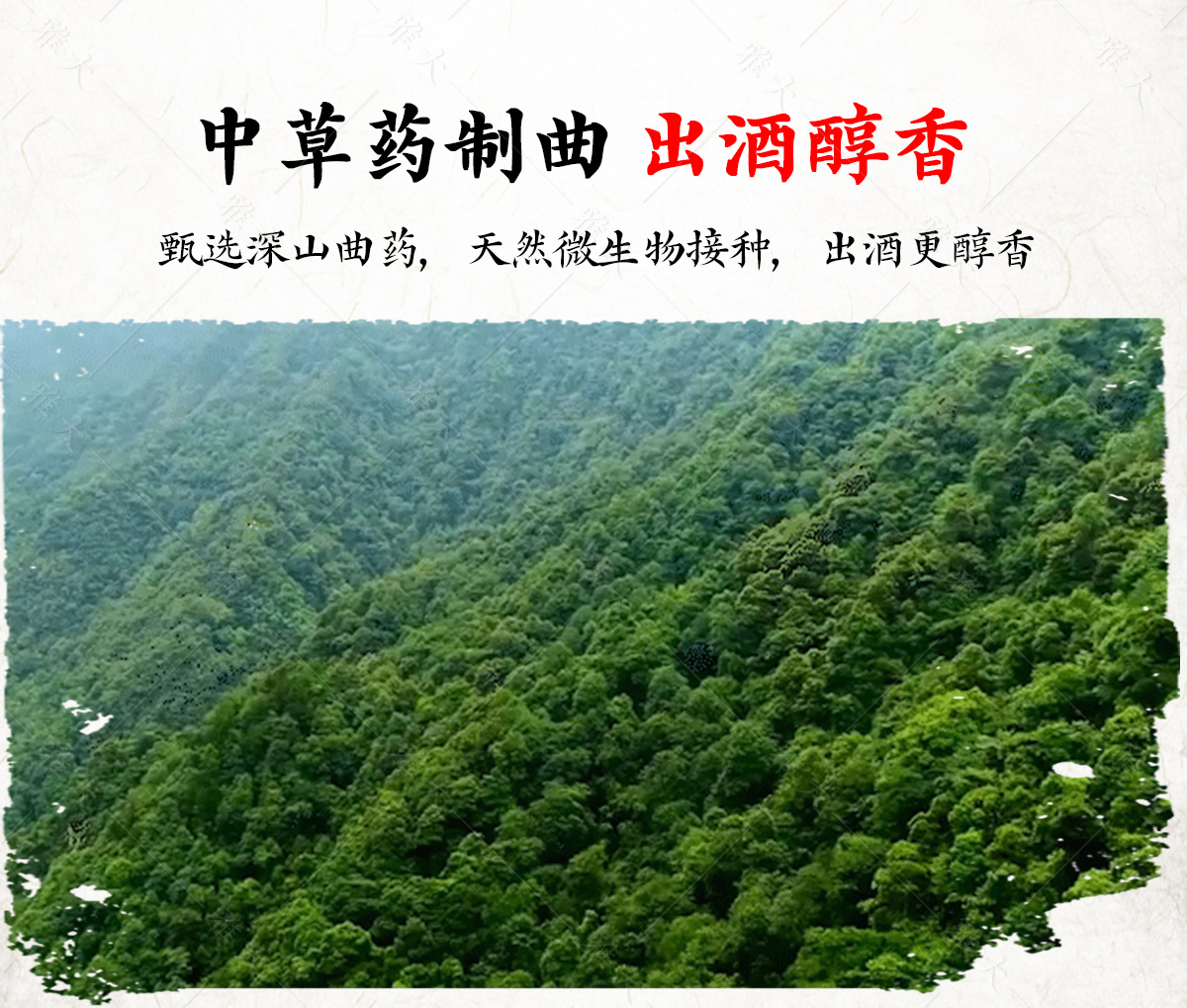 甜酒曲_04 甜酒曲_04