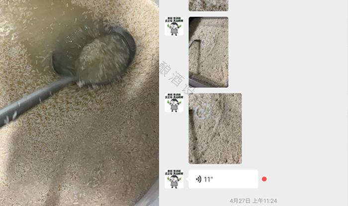 受疫情影響不讓養(yǎng)蛇，用電加熱釀酒設(shè)備做酒迎來新未來！ 3