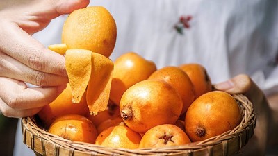 枇杷上市了，趕緊用果酒釀酒設(shè)備將它們釀成酒吧！