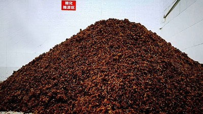 用做酒設(shè)備釀純糧酒的人說做真酒就是在行善，你認(rèn)同嗎？