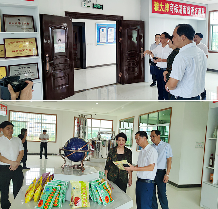 市政協(xié)副主席、市科技局局長(zhǎng)魏秋云一行領(lǐng)導(dǎo)正在雅大參觀調(diào)研1