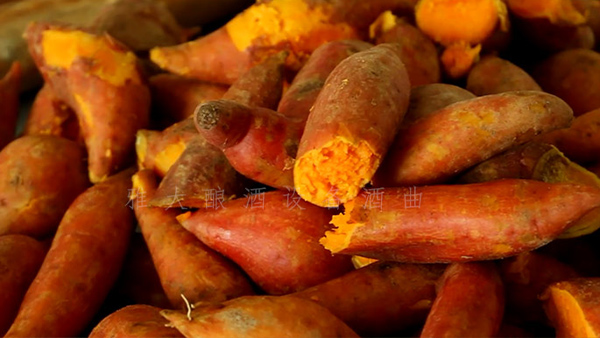 15歲開始釀酒可酒坊一直做不大，只缺1套現(xiàn)代熟料釀酒設備