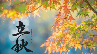 立秋 | 盛夏暑氣遠(yuǎn)，酒中秋色濃