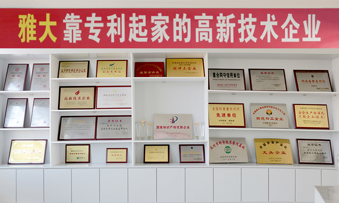 11-1雅大靠專(zhuān)利起家的高新技術(shù)企業(yè)