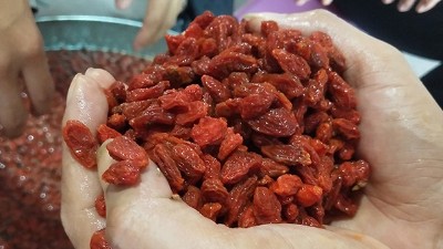 學(xué)會(huì)枸杞酒的三種常見釀酒技術(shù)，您就是釀酒高手！