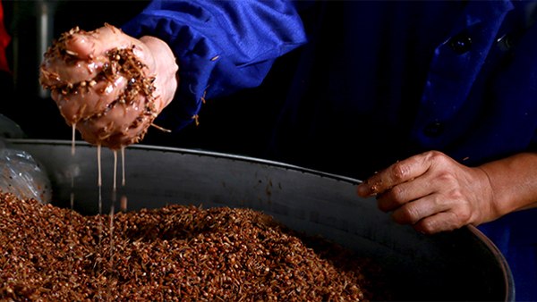 處暑過后，最佳釀酒季即將到來，您的白酒蒸餾設(shè)備準(zhǔn)備好了嗎