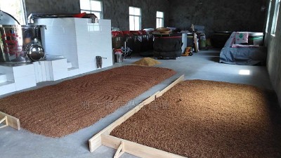 用白酒釀造設(shè)備做固態(tài)酒，到底要不要堆積糖化？