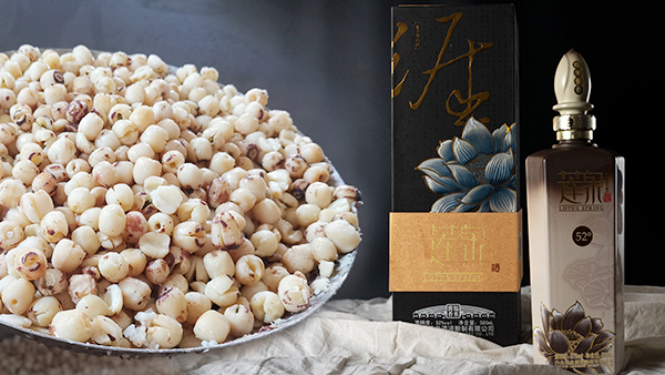 【蒸汽釀酒設(shè)備】蓮花開，蓮子熟，釀一壺清香的蓮子酒！