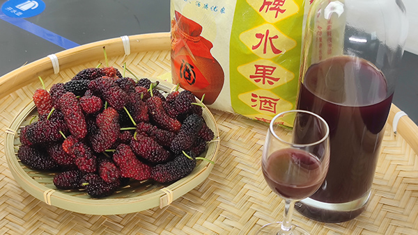 雅大釀酒設(shè)備廠邀您來酒廠學(xué)桑葚酒技術(shù)，品桑葚美酒！