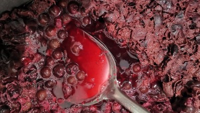 10步教您用小型白酒設(shè)備做出美味樹(shù)葡萄酒！樹(shù)葡萄酒標(biāo)準(zhǔn)教程！