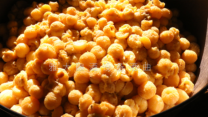 去皮皇帝柑釀酒技術(shù)-剝皮、加糖