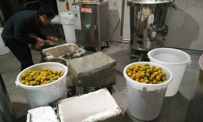 韶關(guān)謝總給雅大寄來的黃帝柑釀酒