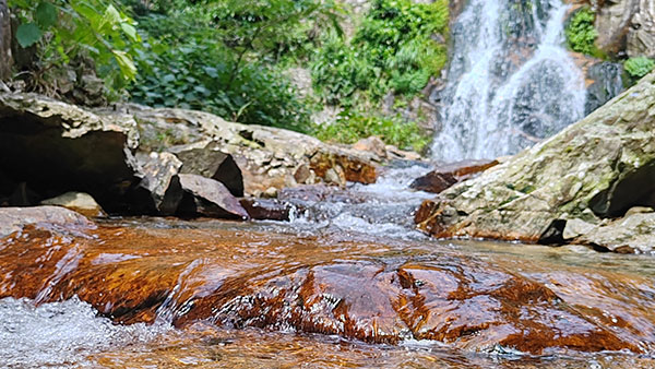 “好水釀好酒”，水在白酒釀造中到底起什么作用？