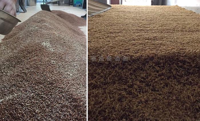 隆林酒坊對(duì)外開放，顧客隨時(shí)參觀酒廠