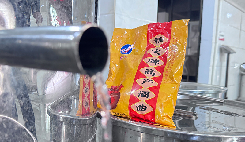 雅大酒曲發酵快菌群活力旺盛