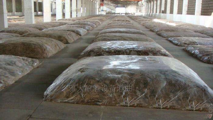 窖泥里的各種微生物菌群活躍起來