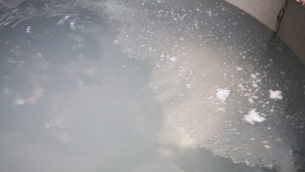 白酒在低溫下變渾濁，出現(xiàn)白色絮狀物正常嗎?