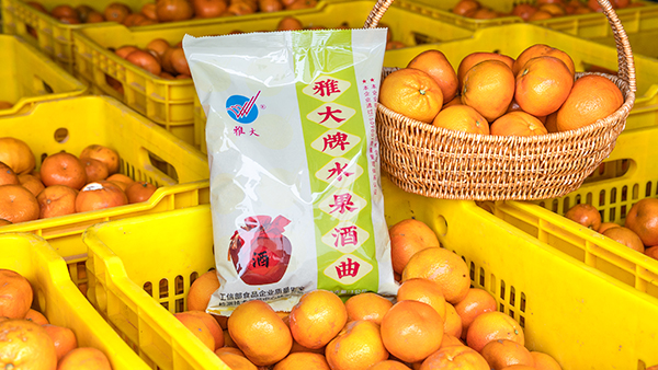 桔子滯銷怎么辦，試試用果酒釀酒設(shè)備將它們釀成酒吧！