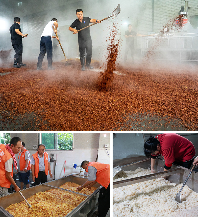 各種釀酒技術(shù)實操
