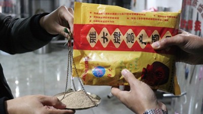 為了多出酒，100斤糧食多加1倍用量的酒曲，結(jié)果……