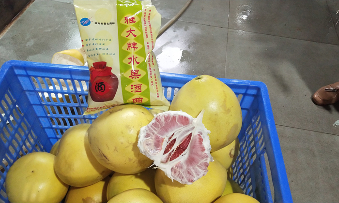 10.21王總寄來(lái)的蜜柚