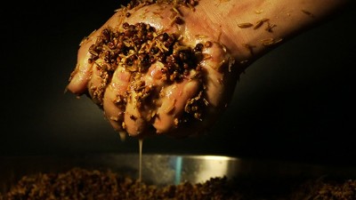 【烤酒設(shè)備】農(nóng)時(shí)不等人，釀酒知時(shí)節(jié)！