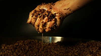 發(fā)酵時(shí)注意這7個(gè)細(xì)節(jié)，零基礎(chǔ)也能用蒸酒設(shè)備做出好酒！