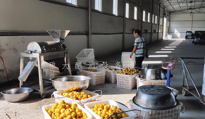 2020年，用釀酒機(jī)械釀造果酒的朋友將越來(lái)越多！1