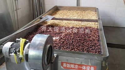 蓮子酒怎么做？11步教您用小型酒廠釀酒設備做出美味蓮子酒