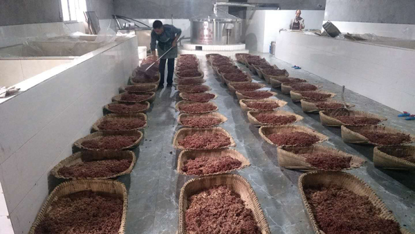 引進(jìn)大型釀酒設(shè)備，用“釀”奏響脫貧致富的時(shí)代樂(lè)章