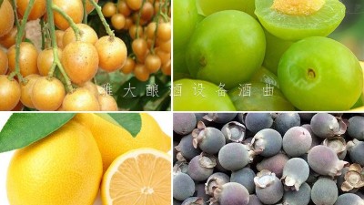 藏在果園里的果酒釀酒設(shè)備酒坊，生意卻依然火爆！