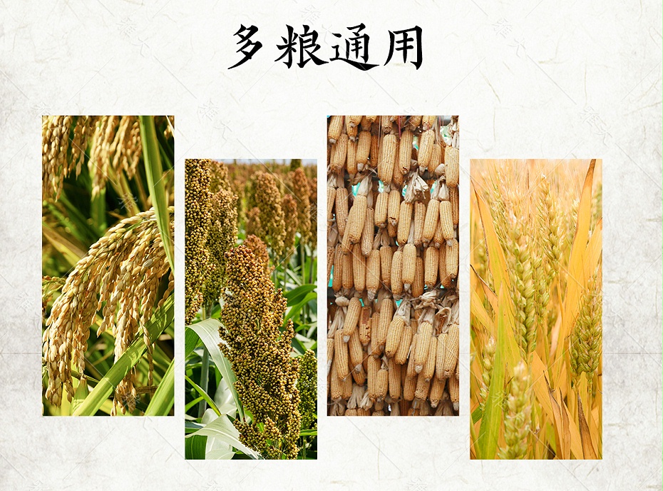 生料酒曲_10 生料酒曲_10