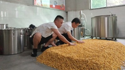 零基礎(chǔ)用做酒設(shè)備釀酒，必須要掌握糖化和酒化的6大要點！